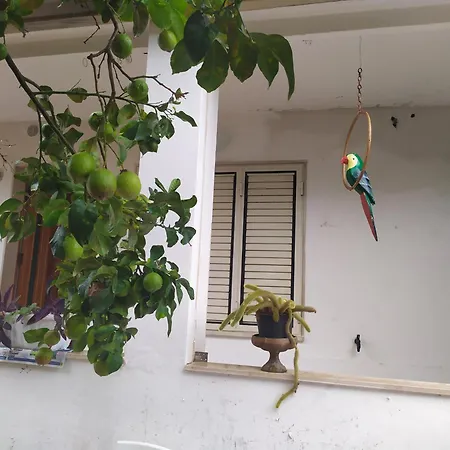 Monolocale Il Rifugio Carbonia