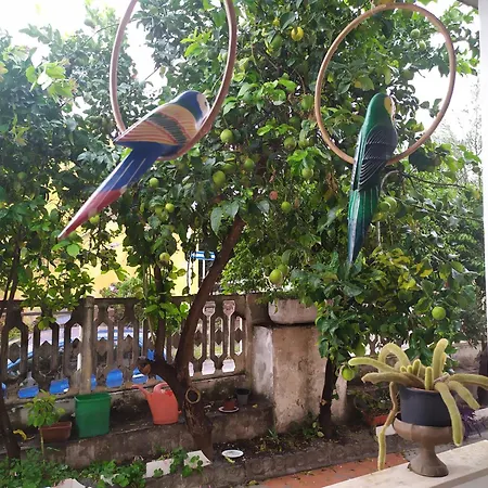 Monolocale Il Rifugio Carbonia